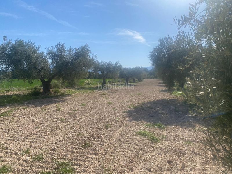Foto 757fd869-3b87-49eb-9d33-dc858eb02270. Finca rústica a Moratalla