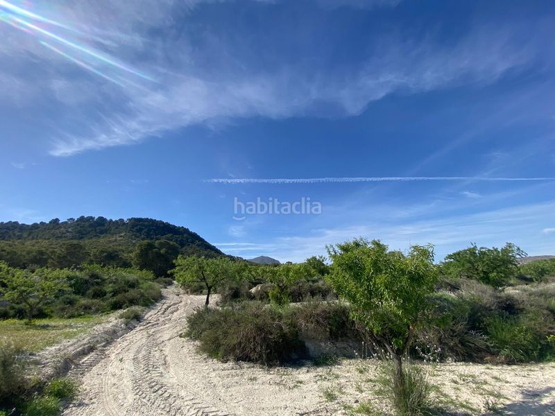 Foto af8da073-3b1a-4cb0-b41d-7e1077cb0143. Finca rústica a Moratalla