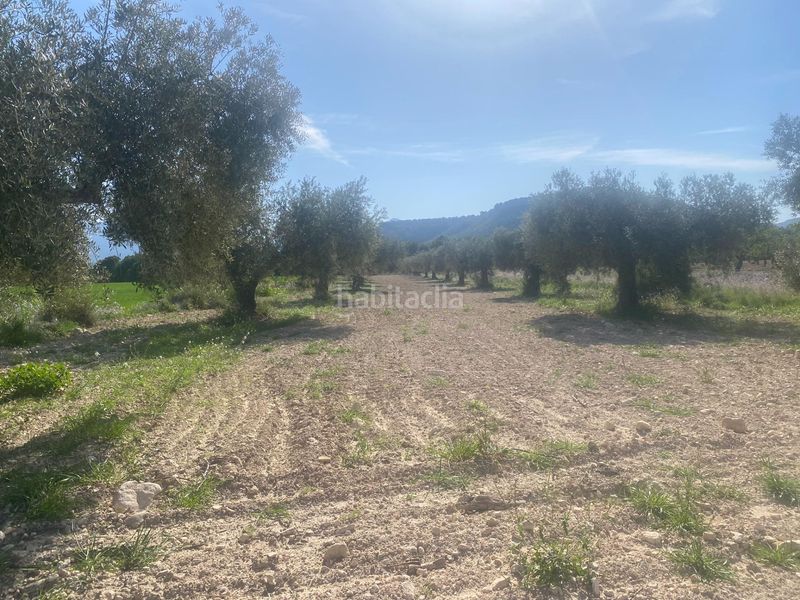 Foto d739fea4-8eeb-48c1-b200-92e5cbd3497c. Finca rústica a Moratalla