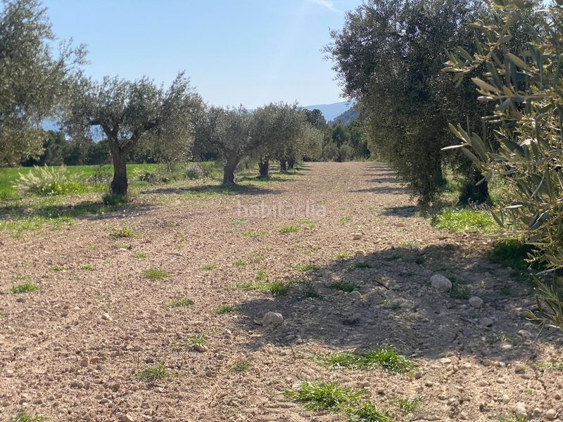 Foto e2cb1182-999b-4a3a-9d2d-81f51113410a. Finca rústica a Moratalla