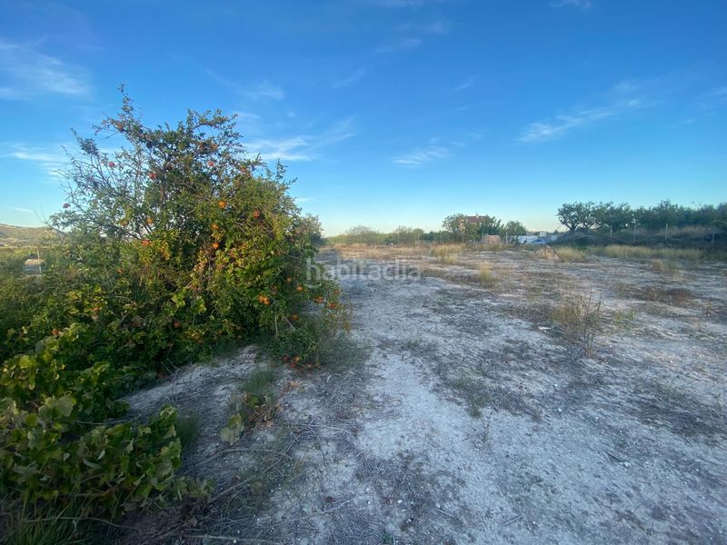 Foto 024e67bf-c997-462e-b999-01bfda710516. Terreny residencial a Moratalla