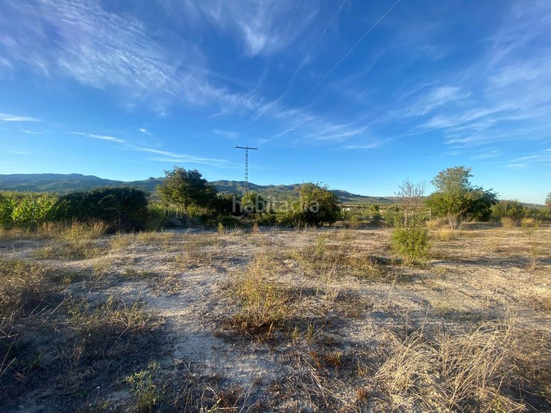 Foto 157e496e-f70c-43d2-884a-767e65da8d0e. Terreny residencial a Moratalla
