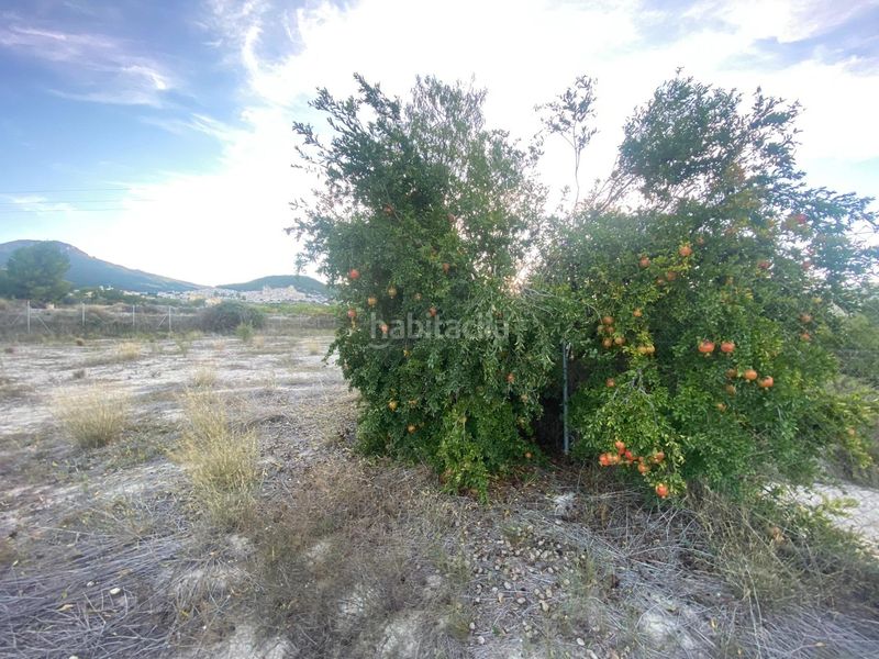 Foto cf22f37e-7b44-4db1-bf82-f05f090b0b74. Terreny residencial a Moratalla