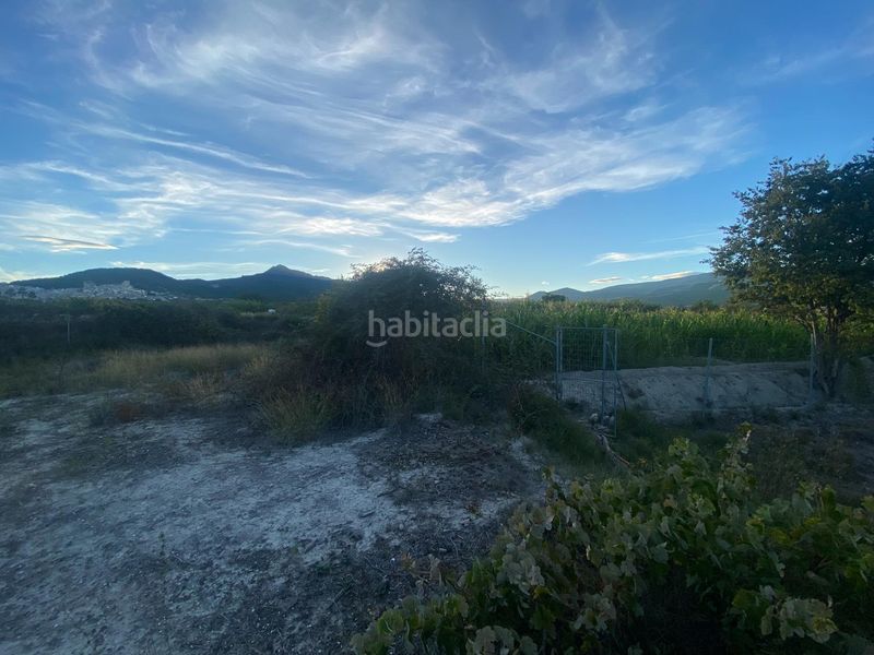 Foto f6de9265-9372-41db-baa7-f4368b46750b. Terreny residencial a Moratalla