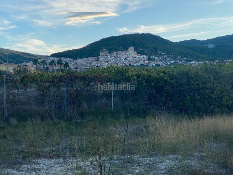 Foto fa073b6f-6a68-4fcc-abe5-f434bc2a8d39. Terreny residencial a Moratalla