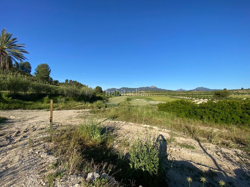 Foto 0078ca03-e539-412d-842e-b8bbe7edf01e. Xalet amb aparcament a Moratalla