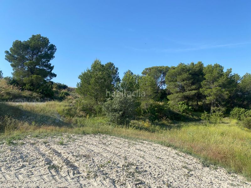 Foto 0d2e1d87-50f6-495d-bcd1-9731de1d72a3. Xalet amb aparcament a Moratalla