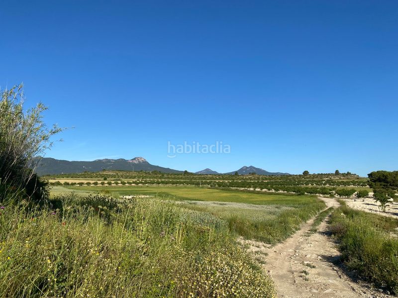 Foto 5c9e3d14-4189-4ac1-8a00-b78f1ed0978e. Xalet amb aparcament a Moratalla