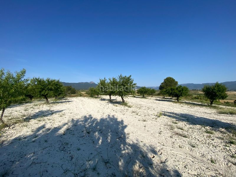 Foto 7e08ac52-fa7a-44e4-a8c2-b1d2647ab543. Xalet amb aparcament a Moratalla