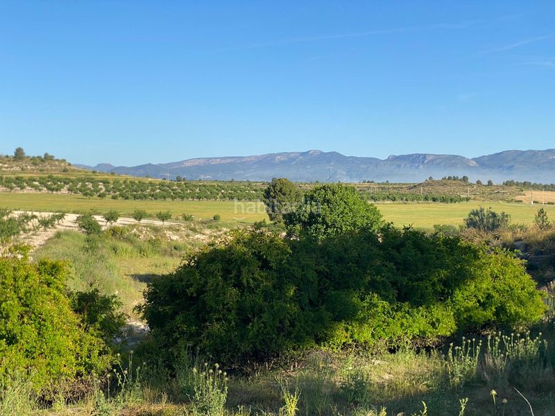 Foto cba72ba4-5240-4baa-927d-04d276cbe48d. Xalet amb aparcament a Moratalla