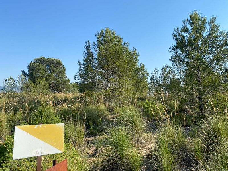 Foto cba7fa45-3bf1-416c-8c1b-aec561567552. Xalet amb aparcament a Moratalla
