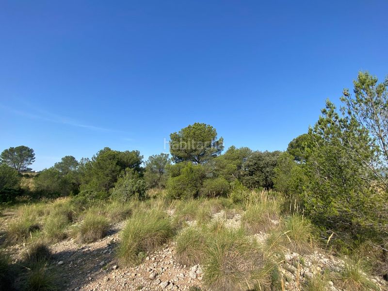 Foto dbb86a45-d4fb-4e00-8cb6-62accac52a0f. Xalet amb aparcament a Moratalla
