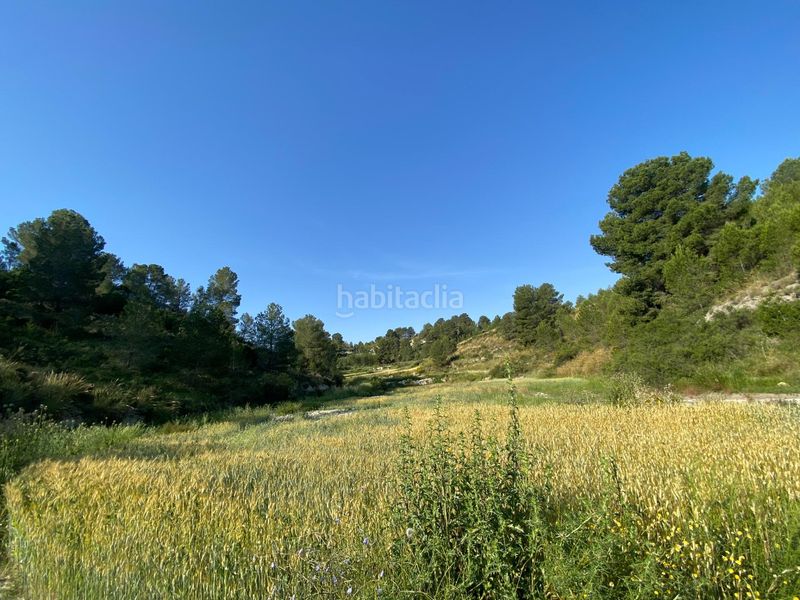 Foto dfb79a3e-9dfa-480e-adc3-5f9f2bf06f05. Xalet amb aparcament a Moratalla