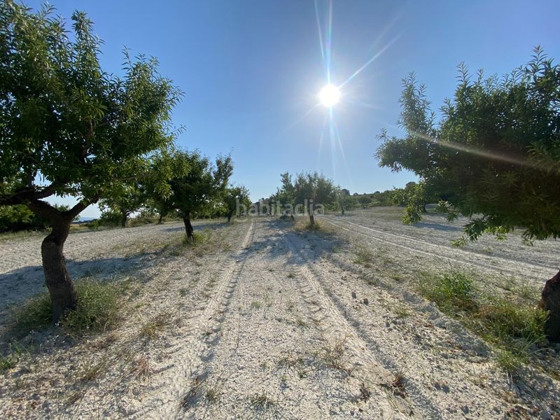 Foto e867c785-282c-497d-9b78-ba28863da918. Xalet amb aparcament a Moratalla