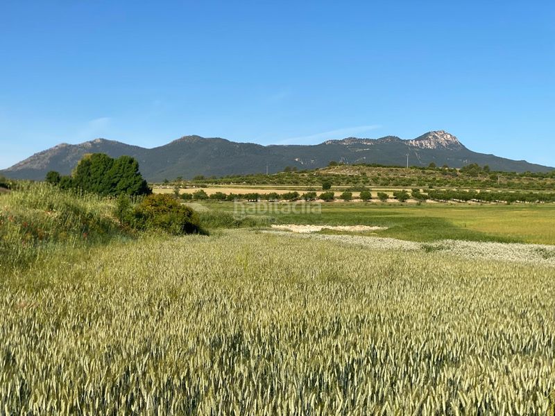 Foto fb915eb4-ad23-48bc-8600-b5a0b03cc3ff. Xalet amb aparcament a Moratalla
