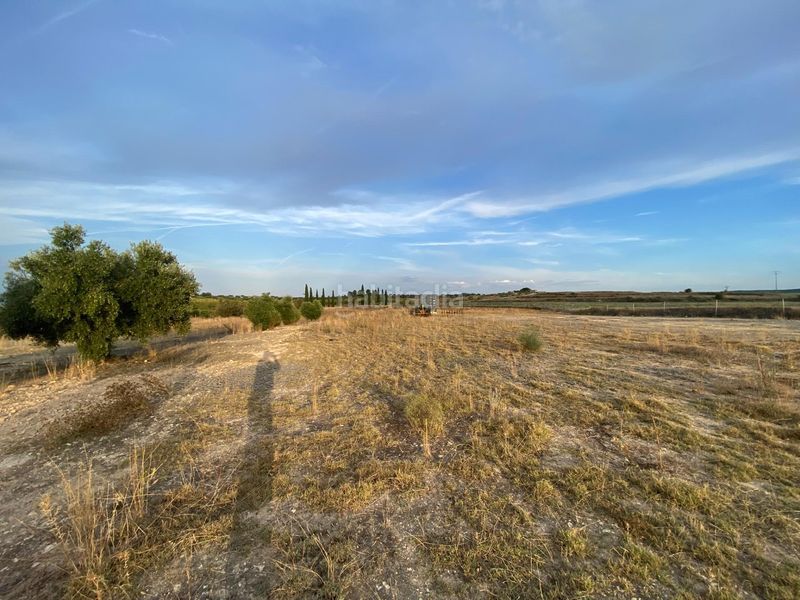 Foto 4e6d9499-672d-4ad6-9624-c9f65838eddd. Terreny residencial a Moratalla