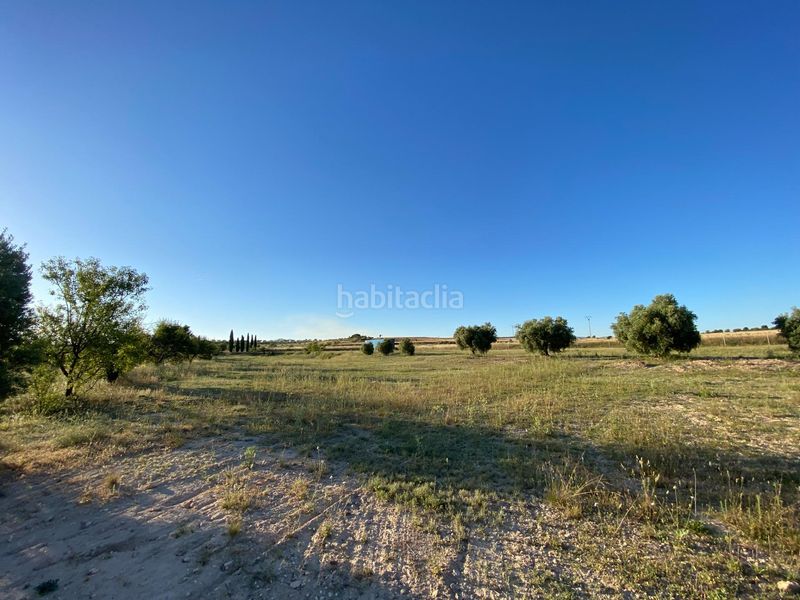 Foto 80cadd00-2fb2-4089-9ec9-ca031875226c. Terreny residencial a Moratalla