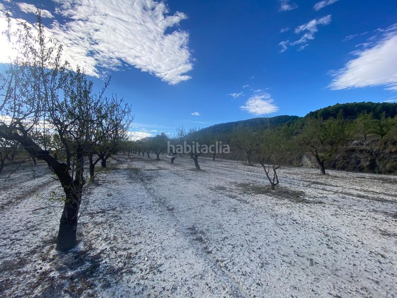 Foto 3d3d9836-00b2-4cf1-872e-371342e0149f. Casa a Moratalla