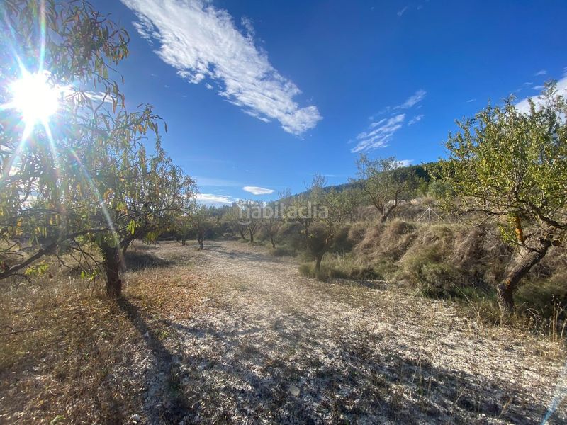 Foto 56bd3b81-b115-4811-a11e-8488ed3df4c7. Casa a Moratalla