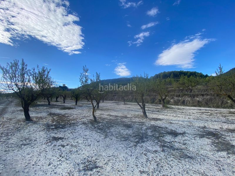 Foto ba493bb3-916b-4906-a656-018e9a0b54c2. Casa a Moratalla