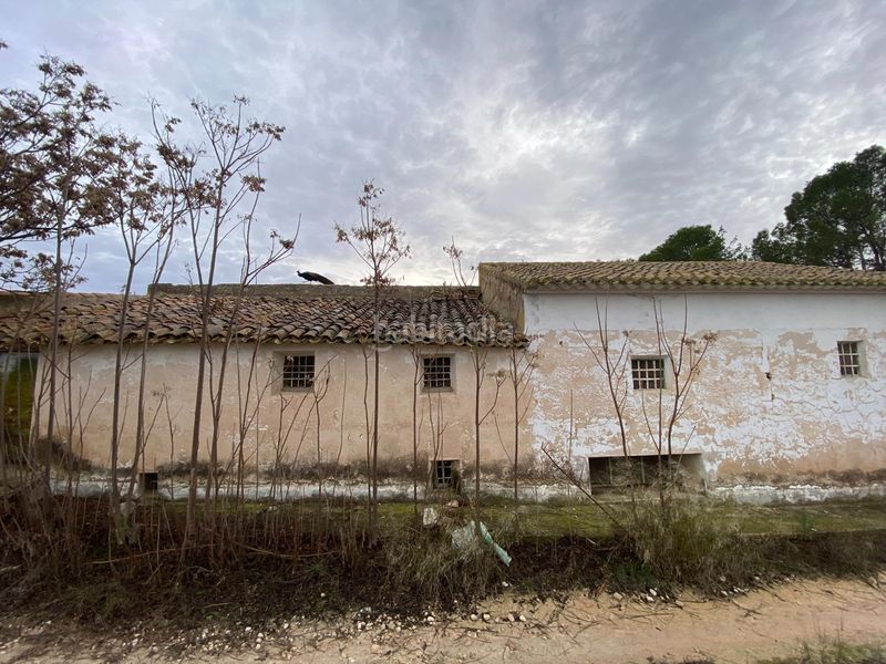 Foto 47007016-9a31-4fd1-9b9e-f3362aa3a272. Terreny residencial a Moratalla
