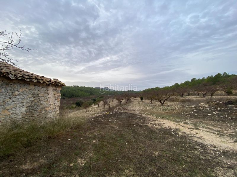 Foto 735ed9a3-3917-4688-b865-e09662118c03. Terreny residencial a Moratalla