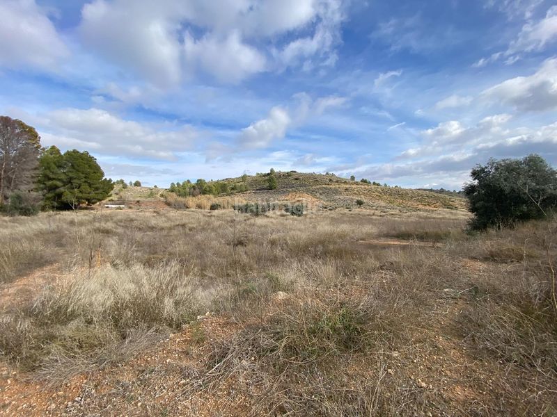 Foto 5dee3b90-ea6a-49da-a8b9-ad5c3979986d. Terreny residencial a Cehegín