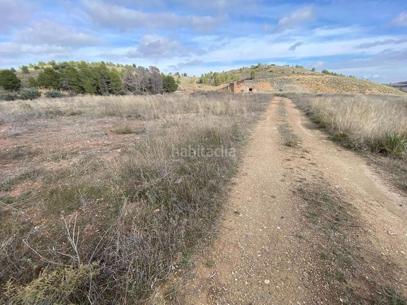 Foto b1446315-5656-4600-bb4e-0b80d994de49. Terreny residencial a Cehegín