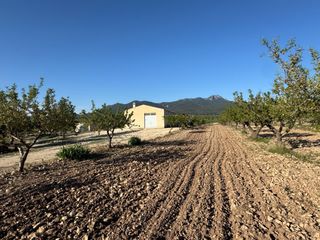 Haus in Moratalla. Una oportunidad única en plena naturaleza amplitud, luz y encant