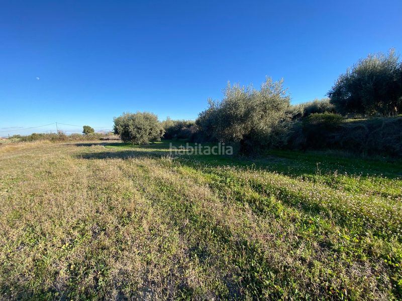 Foto 32985d5d-f776-431d-91c9-3195ce459fae. Xalet amb piscina a Moratalla