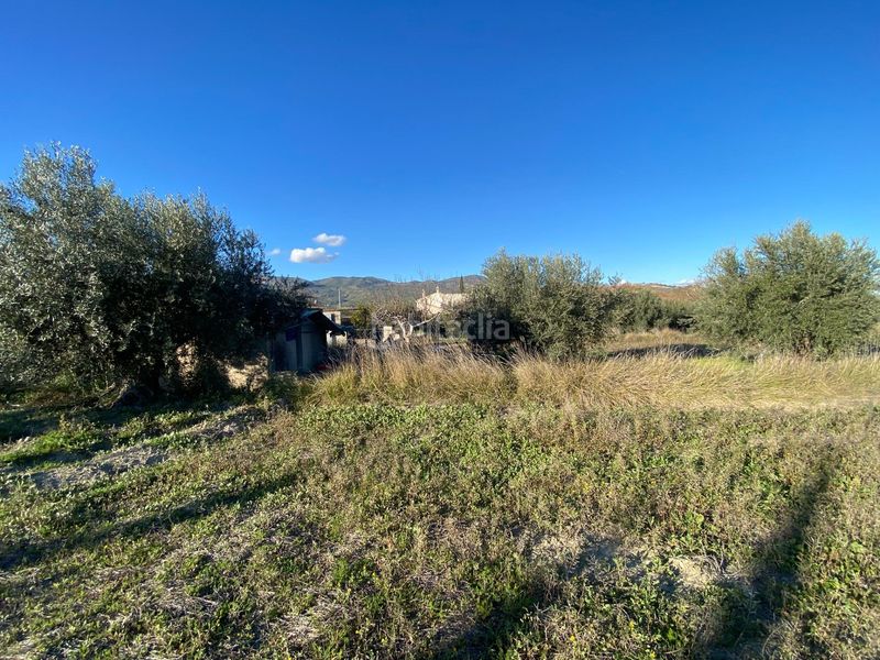 Foto c0ab2a49-3d3d-4192-bb18-24a70a04972b. Xalet amb piscina a Moratalla