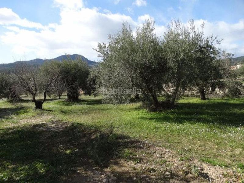 Foto 53b60cf2-6ffa-4233-b14b-64e374426429. Terreno residencial en Moratalla
