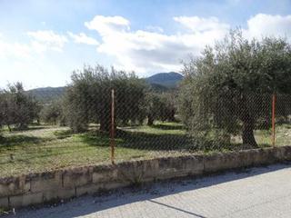 Terreny residencial a Moratalla