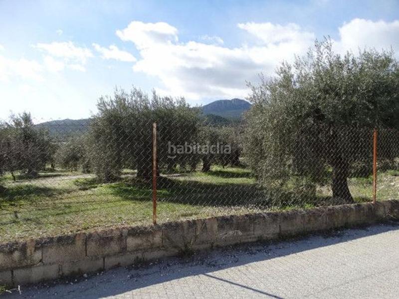 Foto 7fa63b65-5b87-4542-9251-87026064b0ef. Terreno residencial en Moratalla