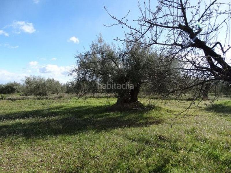Foto 858d08f0-88bc-4fcf-a16f-21ff07112ff0. Terreno residencial en Moratalla