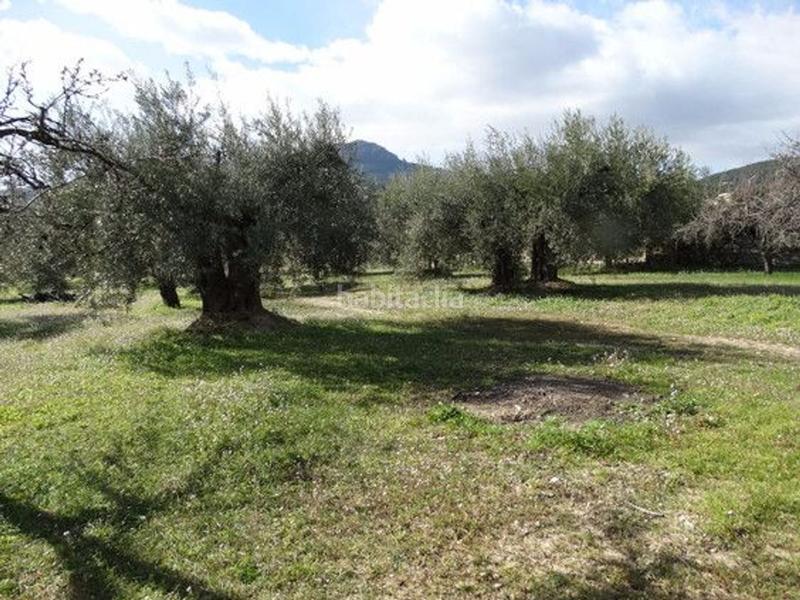 Foto a136dbcd-6064-4f52-8267-b49146826d7a. Terreno residencial en Moratalla