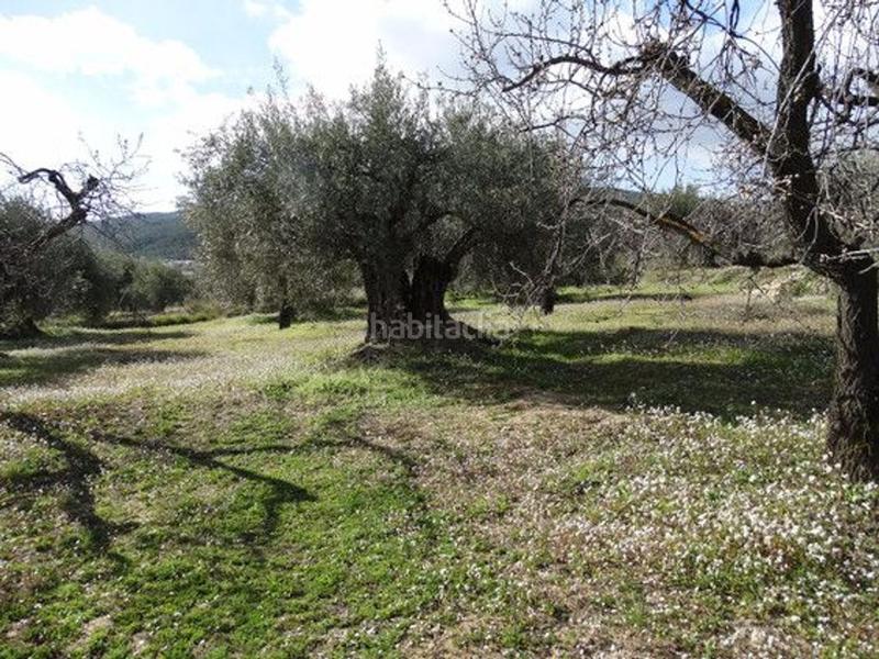 Foto dee79f3e-13aa-411f-99e8-5c4f8a31b778. Terreno residencial en Moratalla