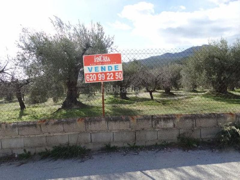Foto f187cc64-7c5d-4a00-aeb7-2096dfd3ac6b. Terreno residencial en Moratalla
