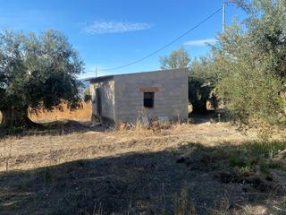 Finca rústica a Moratalla