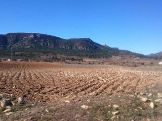 Terreny residencial a Moratalla