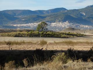 Terreny residencial a Moratalla. Exclusiva finca rústica de ensueño con infinitas posibilidades