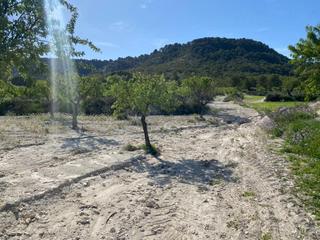 Finca rústica a Moratalla. Conjunto de terrenos en huerta de moratalla
