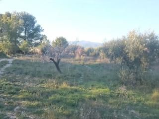 Terreny residencial a Moratalla. Solar en moratalla