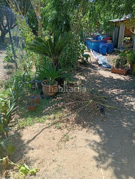 Foto 19fa7063-43d0-4be7-a456-752c27279e00. Finca rústica a de les basses 4 a Calella