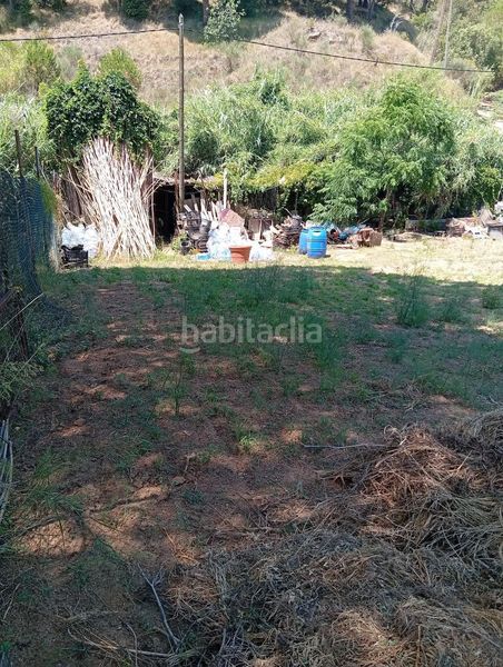 Foto 7441b325-53fb-4258-9ba0-c11c80d1920a. Finca rústica a de les basses 4 a Calella