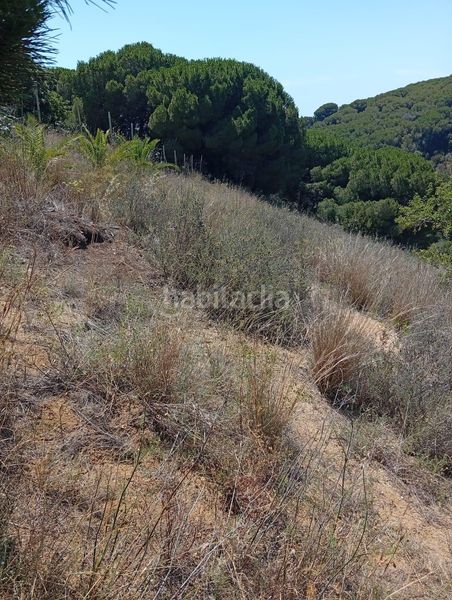 Foto a5a71ccf-451f-4f67-9375-a2fc02c5f181. Finca rústica a de les basses 4 a Calella
