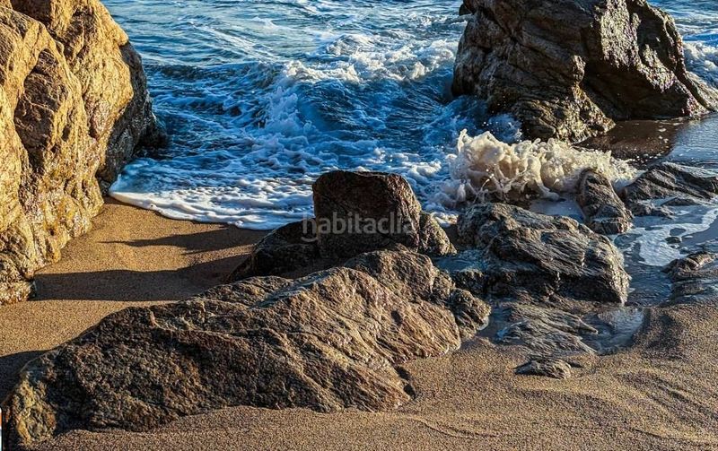 Foto cb0b5dd1-cd3c-4a9b-b31c-f7a1d1282546. Finca rústica a de les basses 4 a Calella