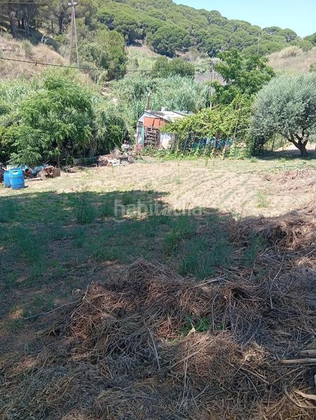 Foto d5848538-dd69-42f9-814a-822678e86e6e. Finca rústica a de les basses 4 a Calella