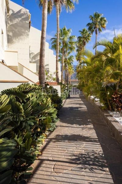 Foto e0598b7d-3240-44ae-9745-4d0664203346. Apartament amb aparcament a Playa del Duque Adeje