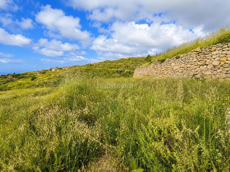 Foto d0ad5099-308d-4c58-a5dc-e9d0263199c9. Finca rústica a Fasnia